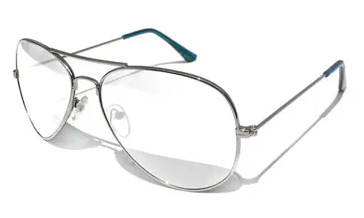Silver eyeglasses online